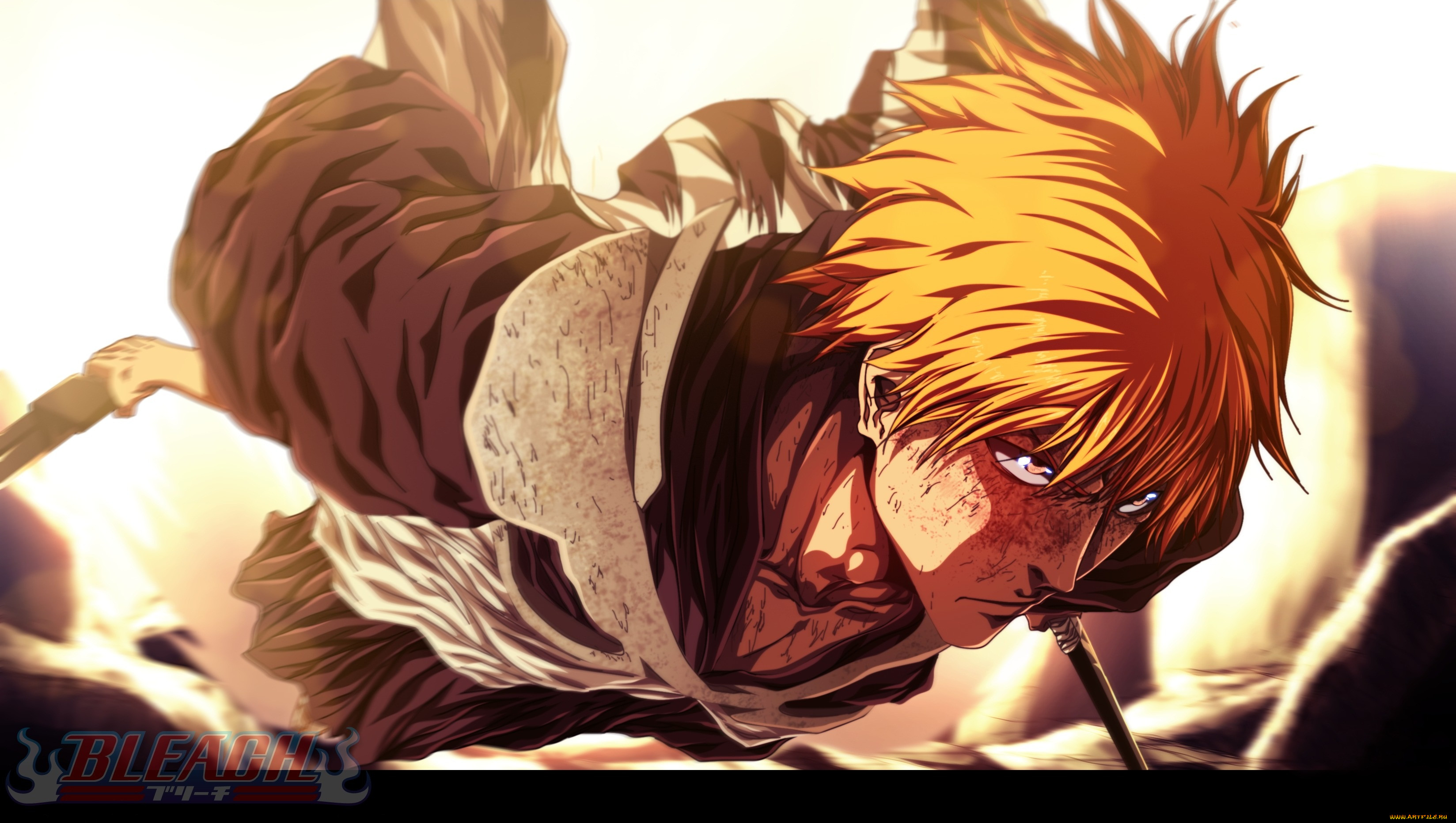 , bleach, , shinigami, ichigo, kurosaki